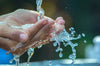 Water splashing into hands