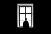 You're Not Alone | Simple Solutions for Loneliness