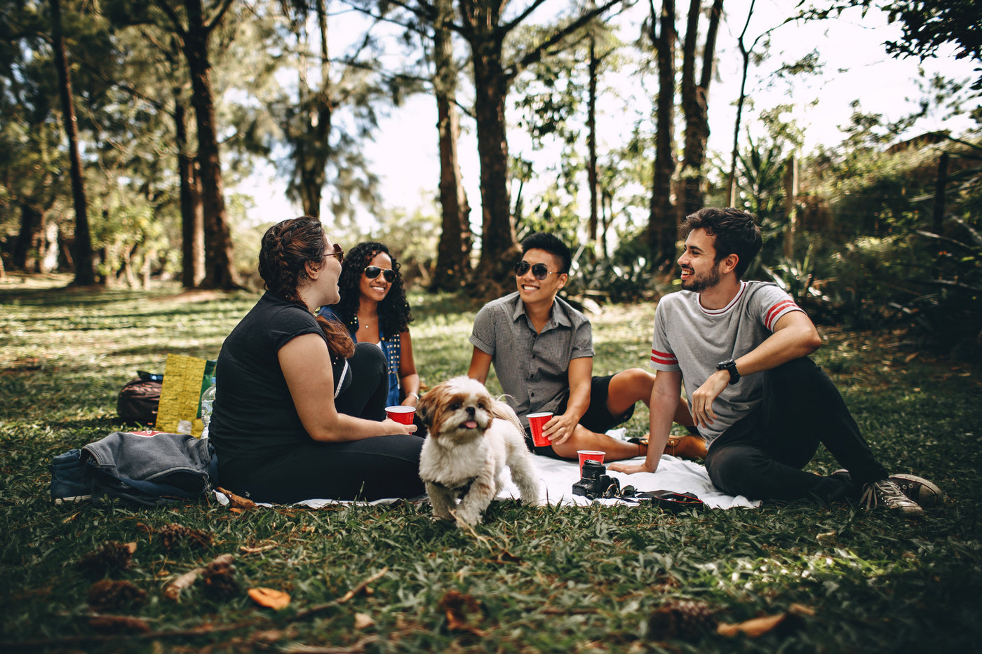 Group of friends hanging out in a park.