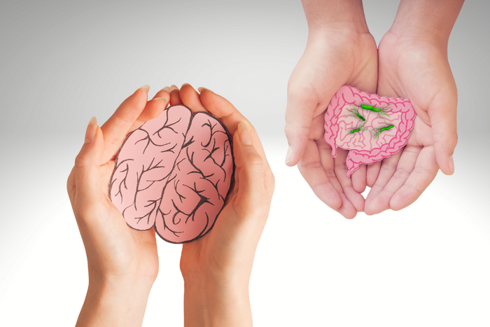Hands holding brain and gut illustration showing gut microbiome and mental health link