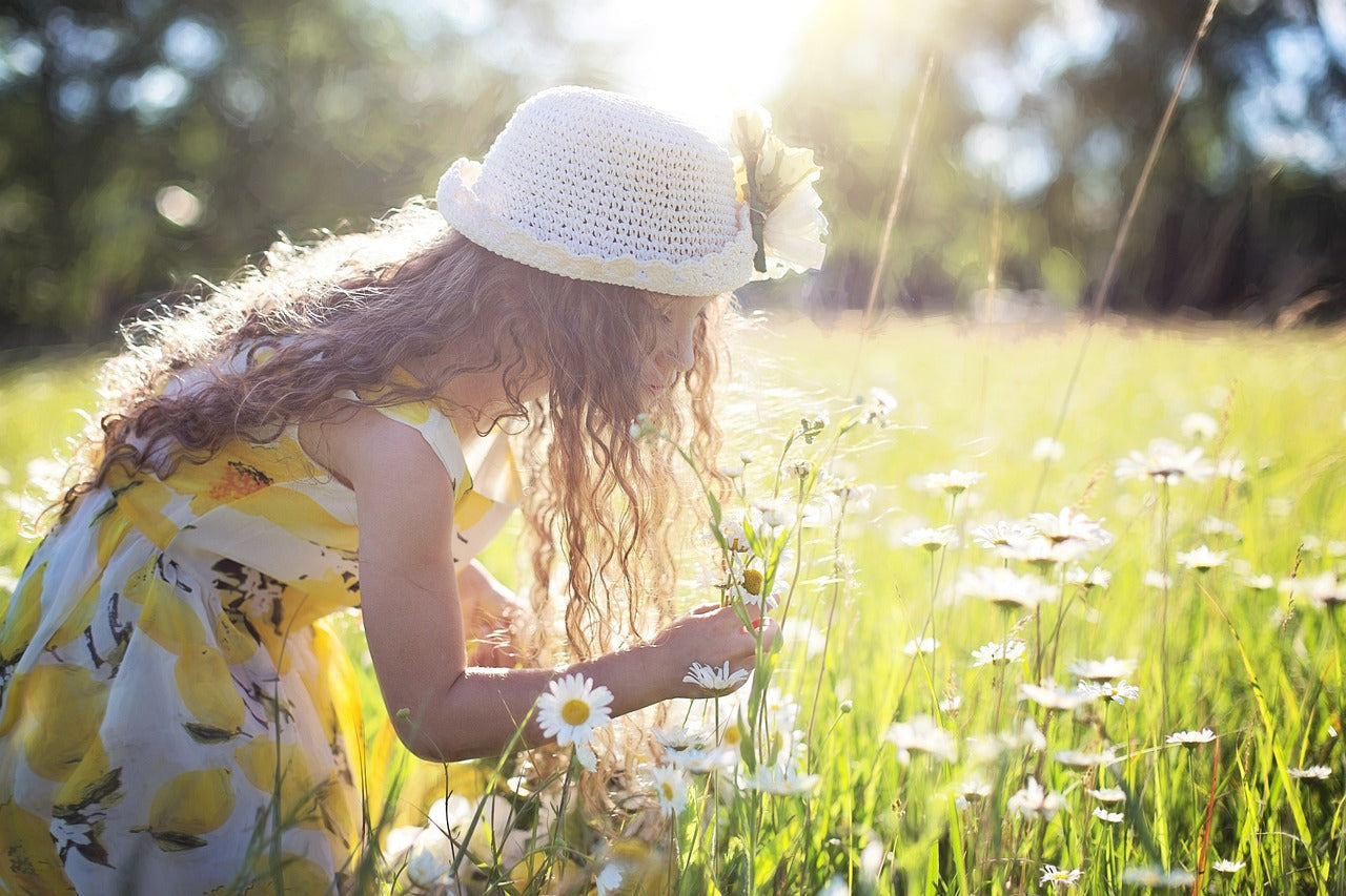 Person picking flowers in a meadow