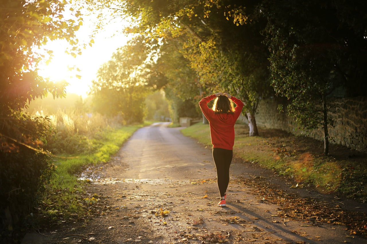 Person walking down path in fall